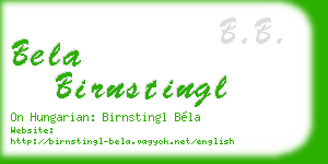 bela birnstingl business card